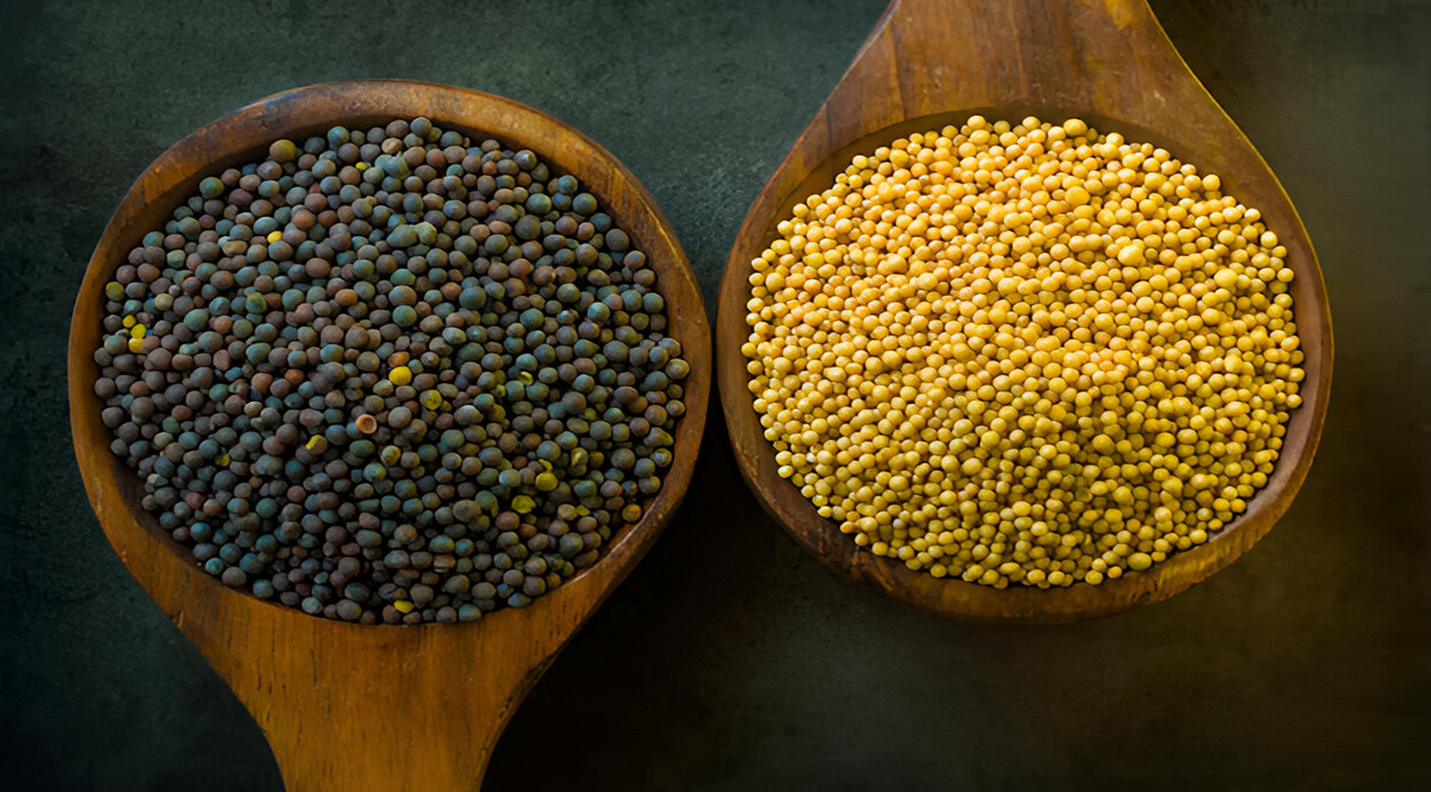 Mustard Seeds