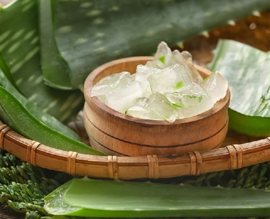 Aloe Vera Pulp